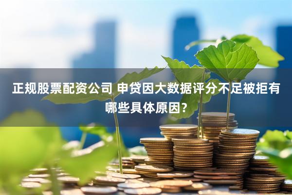 正规股票配资公司 申贷因大数据评分不足被拒有哪些具体原因？
